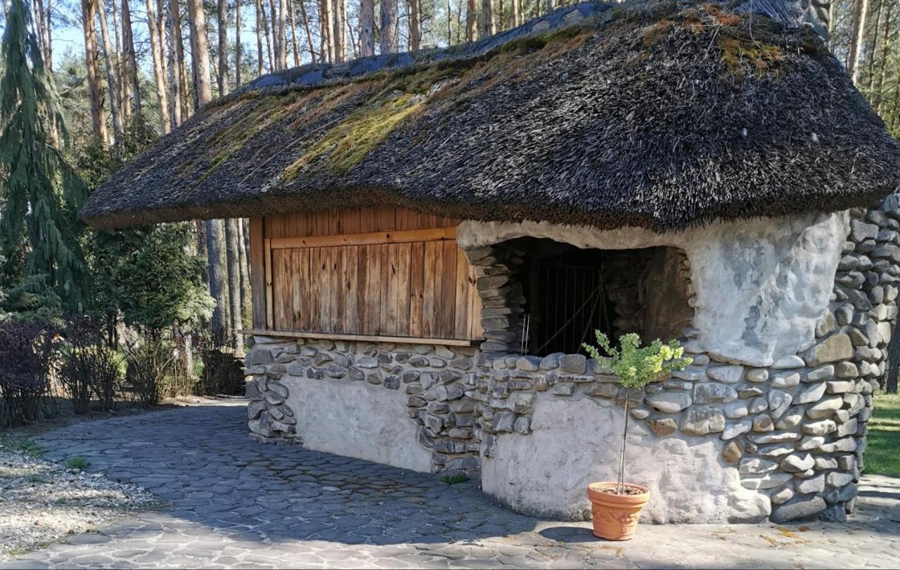 Noclegi Pod Borem Kepno Buitenkant foto